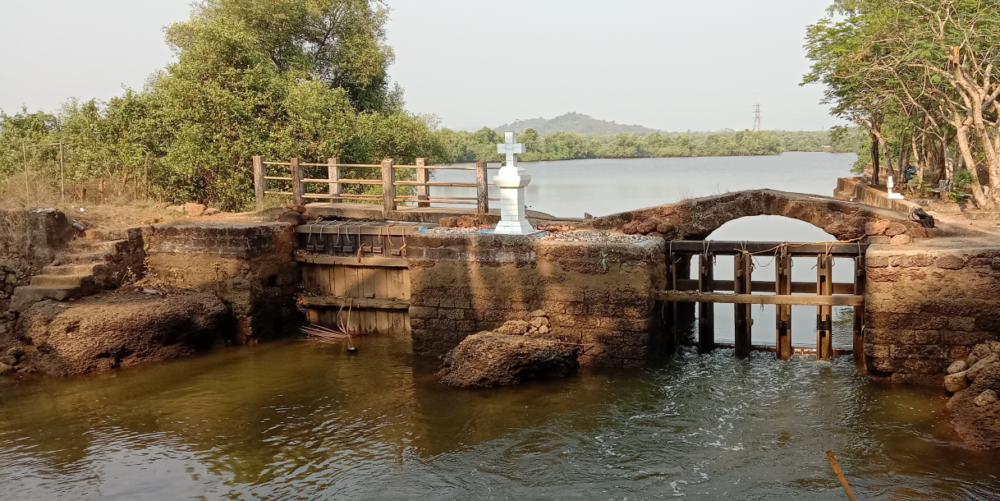 Can preserving Goa’s Khazans address climate threats?
