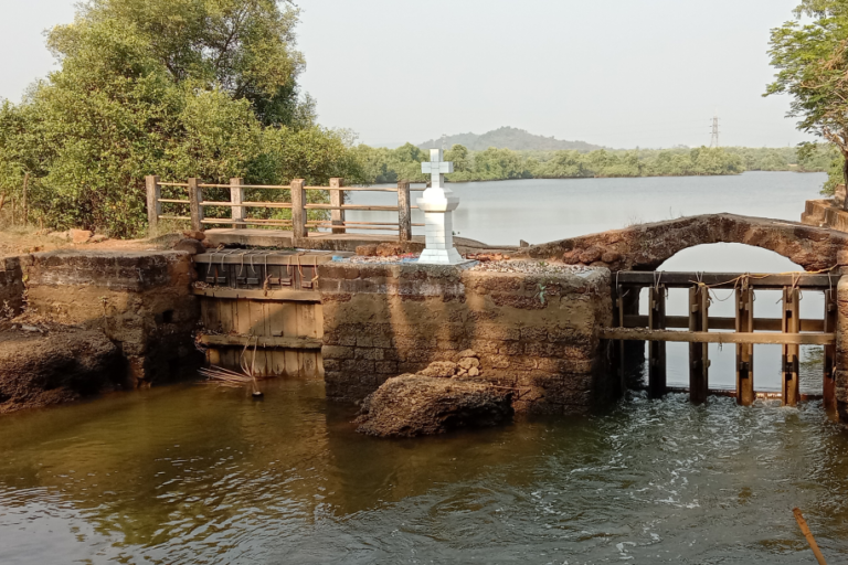 Can preserving Goa’s Khazans address climate threats?
